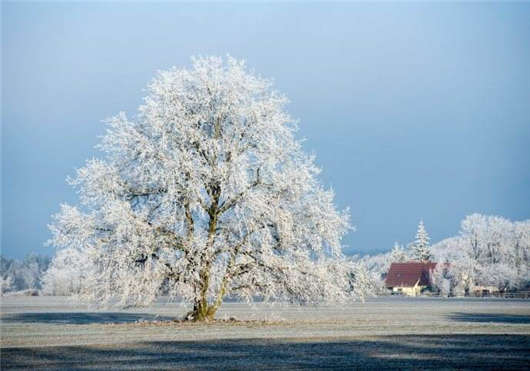 德國簽證留學攻略：十大醫(yī)學學院（上）