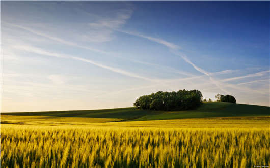 德國(guó)福利政策