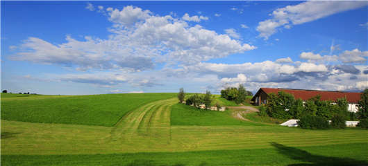 技術領先戰略突出