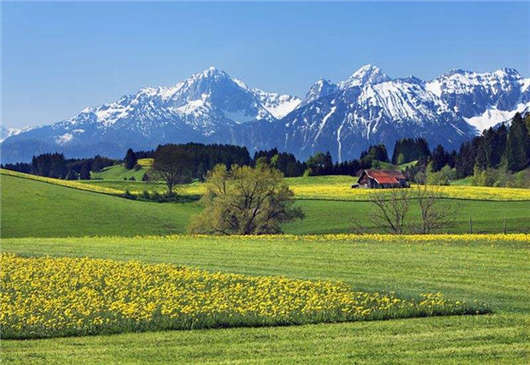 移民福利，豐厚的德國養老待遇