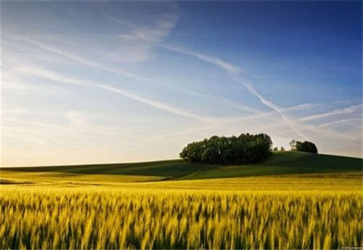 德國的個(gè)人醫(yī)療保險(xiǎn)制度有必要訂購嗎？