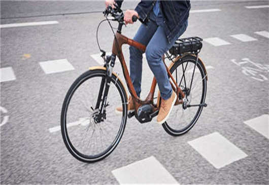 德國電動汽車支持計劃延長