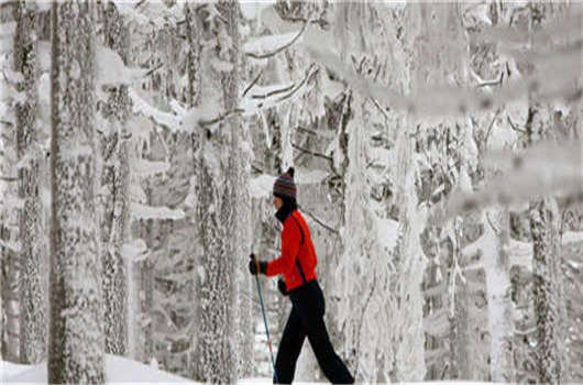 留學(xué)德國畢業(yè)難，解決這些您就可以成功！