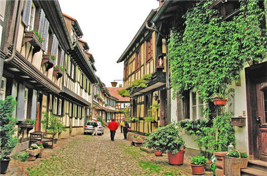 移民政策解讀，是否值得去申請？