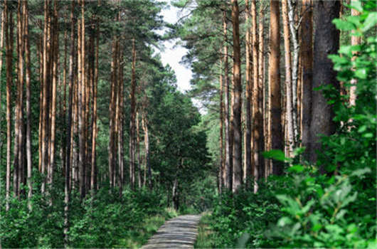 獲取德國(guó)求職者簽證要求介紹