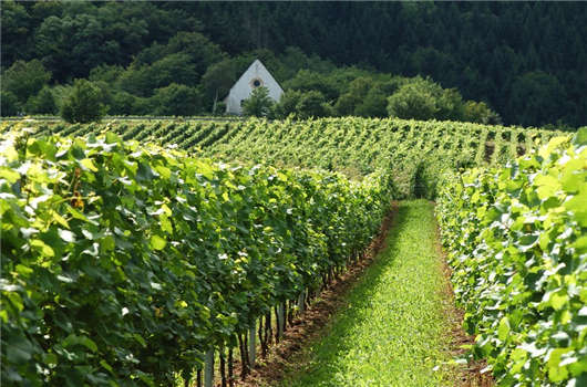 德國企業(yè)稅收您有必要了解一下！