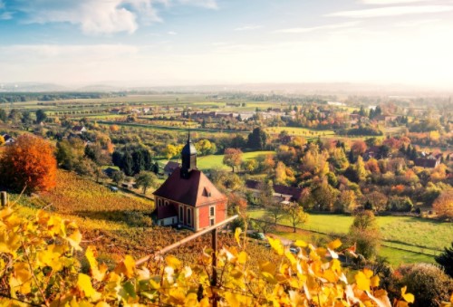 移民有哪些優勢？如何移民？