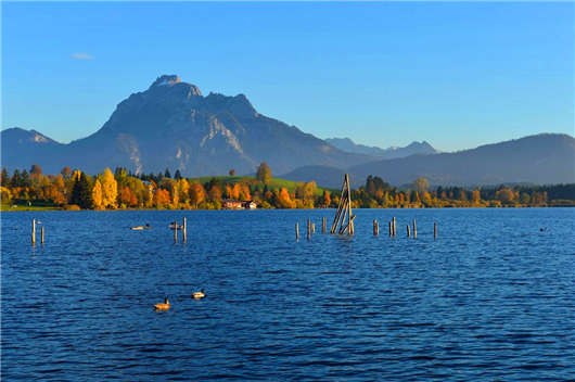 為什么越來越多的人開始喜歡去德國留學？