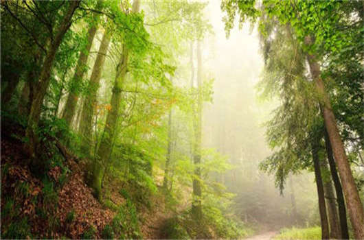 德國移民入籍條件介紹，該如何申請德國永居那？