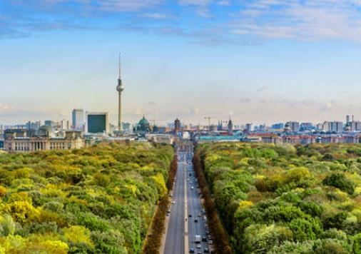 1664175630335561.jpg 1.jpg